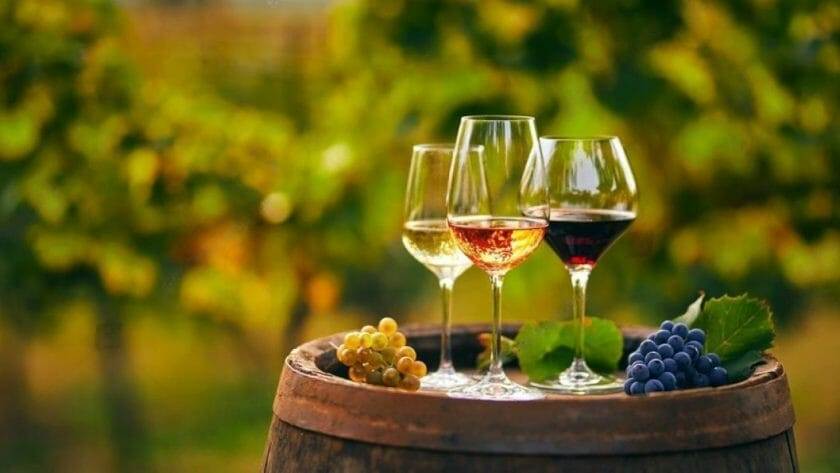 9 regiuni viticole mai puțin cunoscute in lume